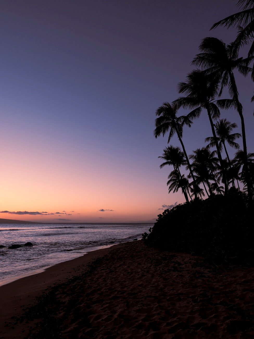 Blue Hour in Lahaina 24x16" Print