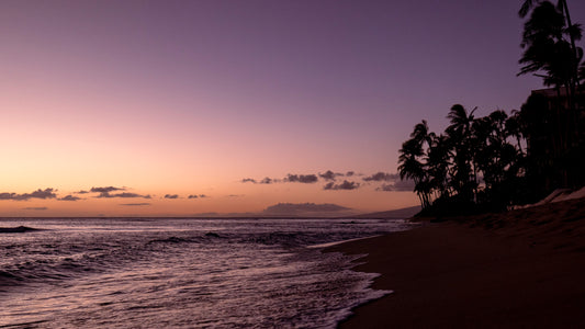 Lavender in Lahaina 16x24" Print