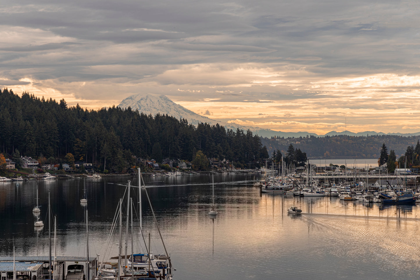 Golden Gig Harbor 16 x 20" Print